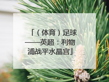 （体育）足球——英超：利物浦战平水晶宫