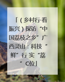（乡村行·看振兴）探访“中国荔枝之乡”广西灵山：科技“鲜”行 实“荔”C位