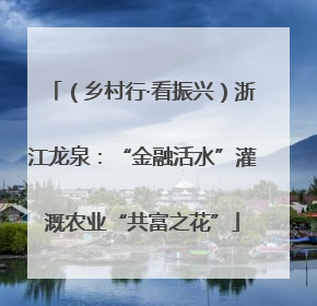 （乡村行·看振兴）浙江龙泉：“金融活水”灌溉农业“共富之花”