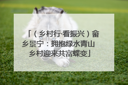 （乡村行·看振兴）畲乡景宁：拥抱绿水青山 乡村迎来共富蝶变