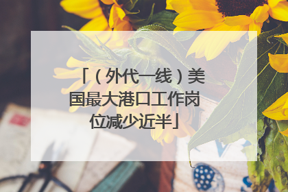 （外代一线）美国最大港口工作岗位减少近半