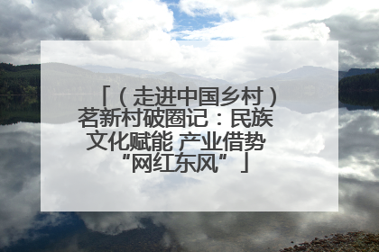 （走进中国乡村）茗新村破圈记：民族文化赋能 产业借势 “网红东风”
