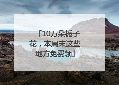 10万朵栀子花，本周末这些地方免费领