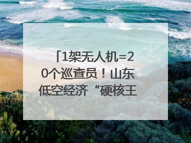 1架无人机=20个巡查员！山东低空经济“硬核王炸”亮相青岛，下一个万亿赛道藏在这里