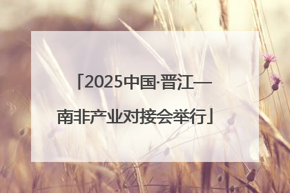 2025中国·晋江—南非产业对接会举行