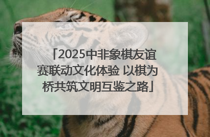 2025中非象棋友谊赛联动文化体验 以棋为桥共筑文明互鉴之路