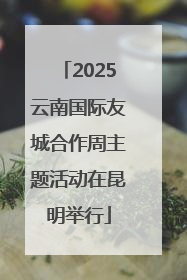 2025云南国际友城合作周主题活动在昆明举行