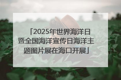 2025年世界海洋日暨全国海洋宣传日海洋主题图片展在海口开展