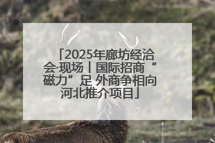 2025年廊坊经洽会·现场丨国际招商“磁力”足 外商争相向河北推介项目