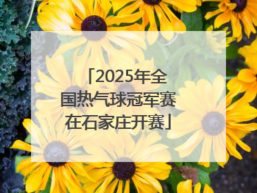 2025年全国热气球冠军赛在石家庄开赛