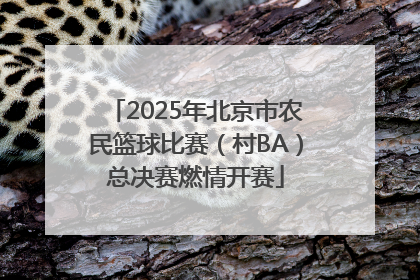 2025年北京市农民篮球比赛（村BA）总决赛燃情开赛