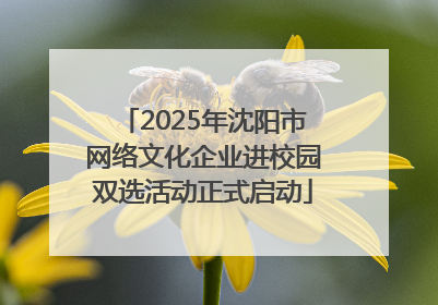 2025年沈阳市网络文化企业进校园双选活动正式启动