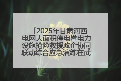2025年甘肃河西电网大面积停电暨电力设施抢险救援政企协同联动综合应急演练在武威成功举行
