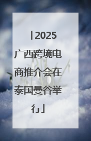 2025广西跨境电商推介会在泰国曼谷举行
