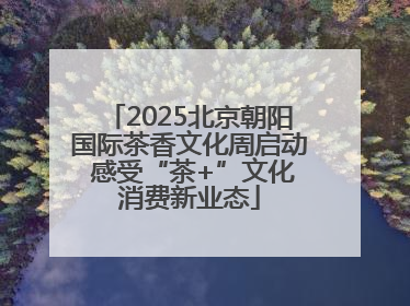 2025北京朝阳国际茶香文化周启动 感受“茶+”文化消费新业态