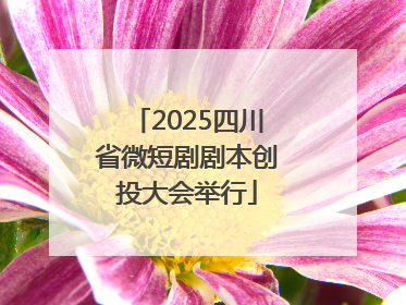 2025四川省微短剧剧本创投大会举行