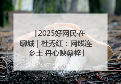 2025好网民·在聊城｜杜秀红：网线连乡土 丹心映桑梓