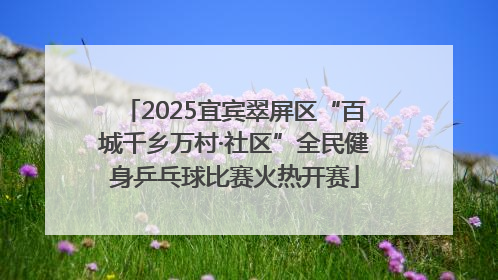 2025宜宾翠屏区“百城千乡万村·社区”全民健身乒乓球比赛火热开赛