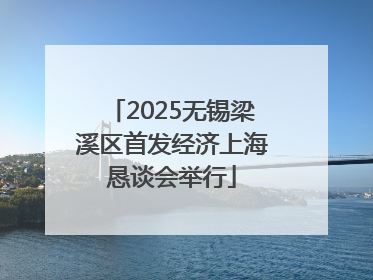2025无锡梁溪区首发经济上海恳谈会举行
