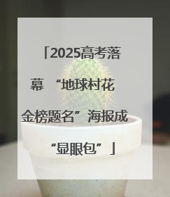 2025高考落幕 “地球村花 金榜题名”海报成“显眼包”