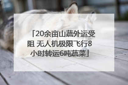 20余亩山蔬外运受阻 无人机极限飞行8小时转运6吨蔬菜