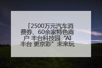2500万元汽车消费券、60余家特色商户 丰台科技园“AI丰台 更京彩”未来玩家市集活动正式开幕