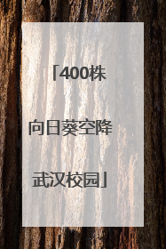 400株向日葵空降武汉校园