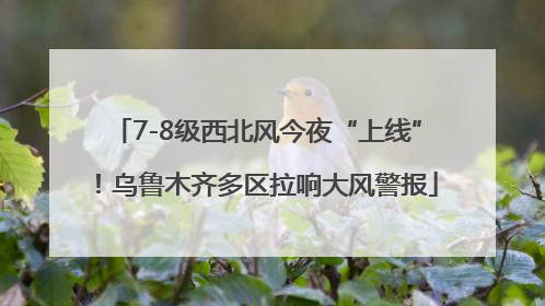 7-8级西北风今夜“上线”！乌鲁木齐多区拉响大风警报