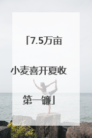7.5万亩小麦喜开夏收第一镰