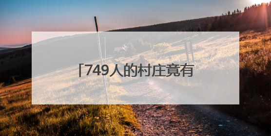 749人的村庄竟有4大产业，小官村一村多品铺就富民路