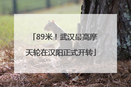 89米！武汉最高摩天轮在汉阳正式开转