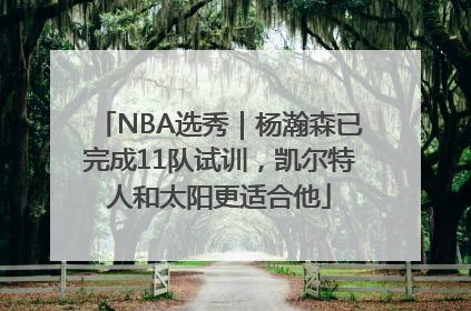 NBA选秀｜杨瀚森已完成11队试训，凯尔特人和太阳更适合他