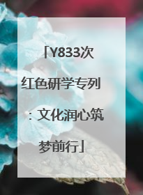 Y833次红色研学专列：文化润心筑梦前行